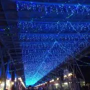 ひよっこりん☆