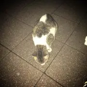 古着の人