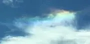 (*´ω`*)スカイ☆自己紹介必読☆