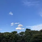 Aozoraの画像