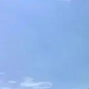 YOUの画像