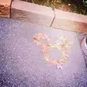 Mの画像