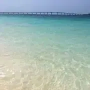 may