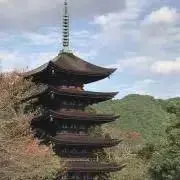 Tsubakiの画像