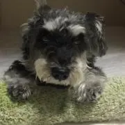 T.Wの画像