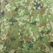 ゼスト プロフィール必読の画像