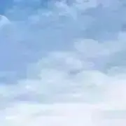ウユの画像