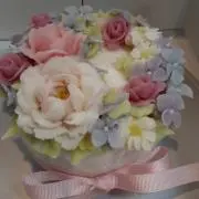 DHRA0213の画像