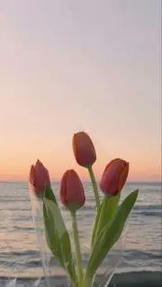 花　ご購入前にコメントください。の画像