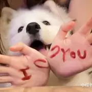Ronronnerの画像