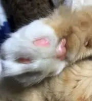 りょう