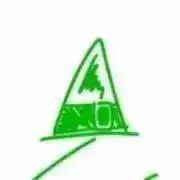 柊