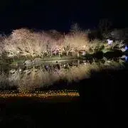 すけ