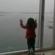 ノラさんの画像