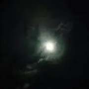 ねこ