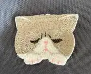 すもこの画像