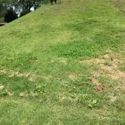 はらみん