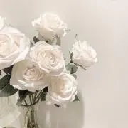 Mの画像