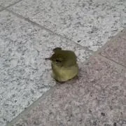 うすしおの画像