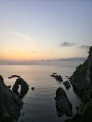 ネッシープロフィ必読の画像