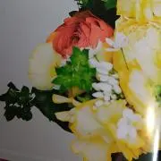 ほくと 　同梱1点につき100円お値引きの画像
