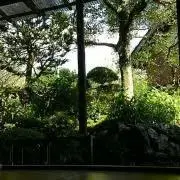 Goroの画像