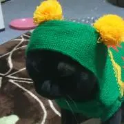天茶の画像