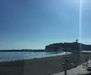 cobbyの画像