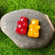 brownieの画像