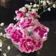 きなこの画像