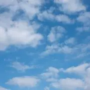 アッシュ　※プロフィール参照の画像