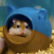 マーチ