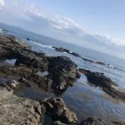 あき【プロフ確認お願いします】の画像
