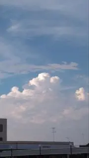 Yawn*の画像