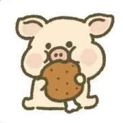 こっこの画像