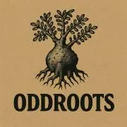 ODDROOTSの画像