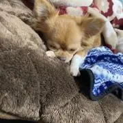 名無しの権兵衛