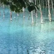 kumikkyの画像