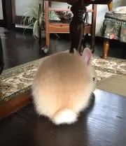 あっちゃん