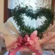アリエル♡の画像