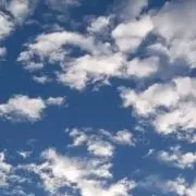 空き缶の画像