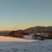 パオの画像