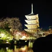 ちぃの画像