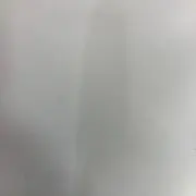 ママーちゃんの画像