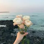 Enaの画像