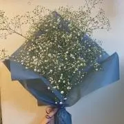 ターボーの画像