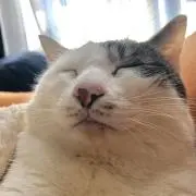 min