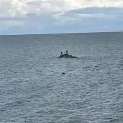 ジム
