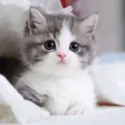Yukaの画像