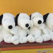 まーちゃんの画像